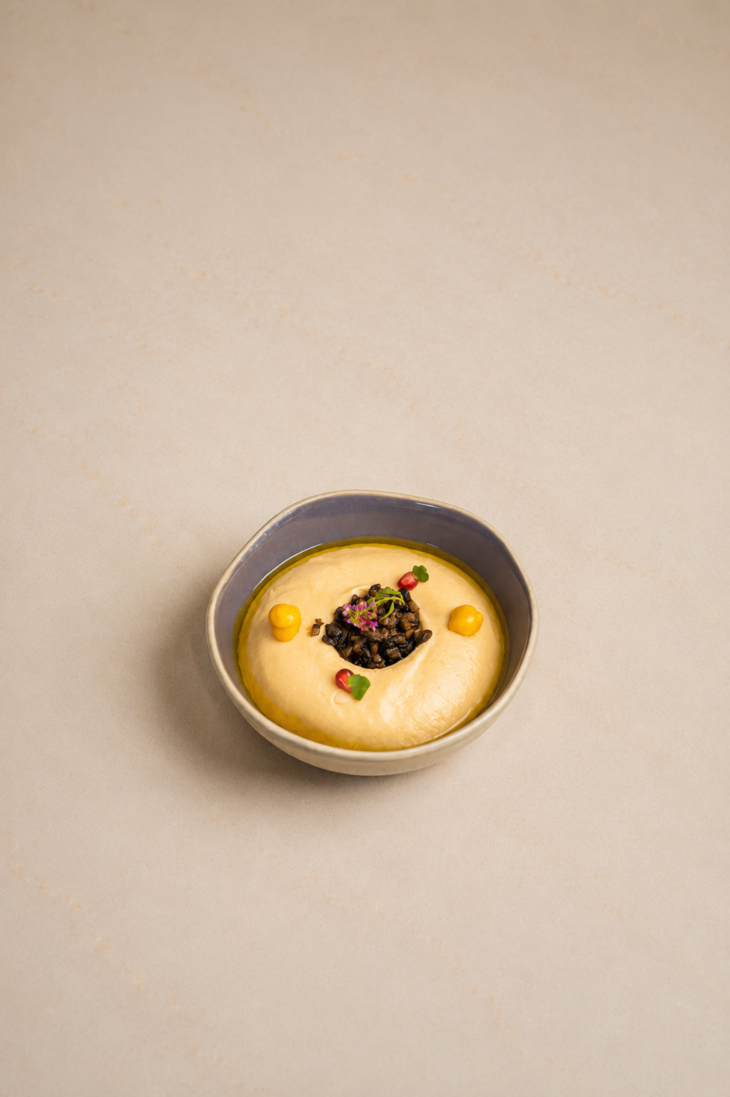 HUMMUS w/ mushroom